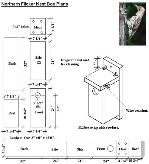 Nesting Box Plans