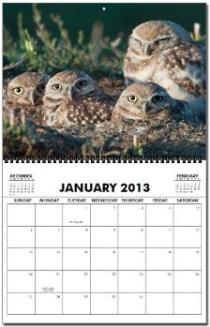 2011 Burrowing Owl Calendar