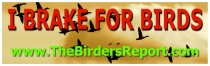 I Brake For Birds