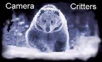 Camera Critters