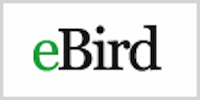 eBird
