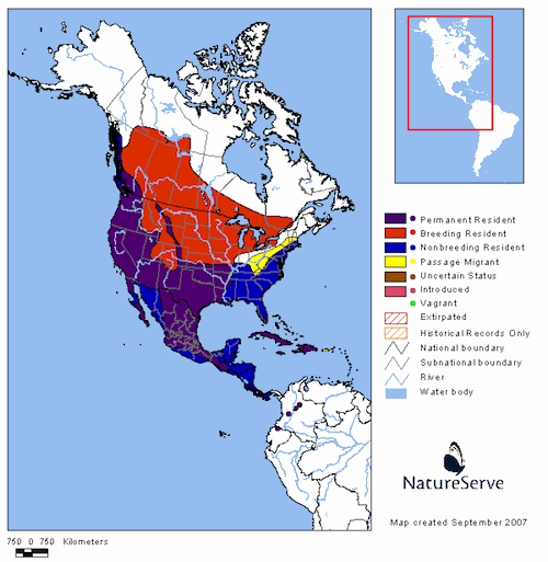 American Coot Range Map
