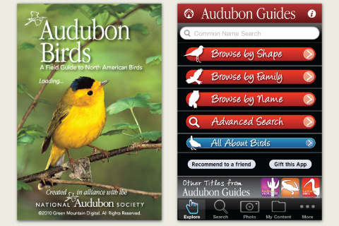 Audubon Birds – A Field Guide to North American Birds