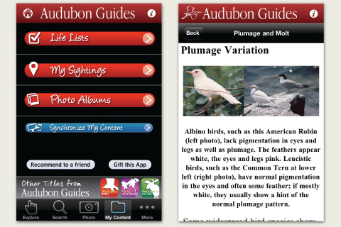 Audubon Birds Field Guide iPhone App