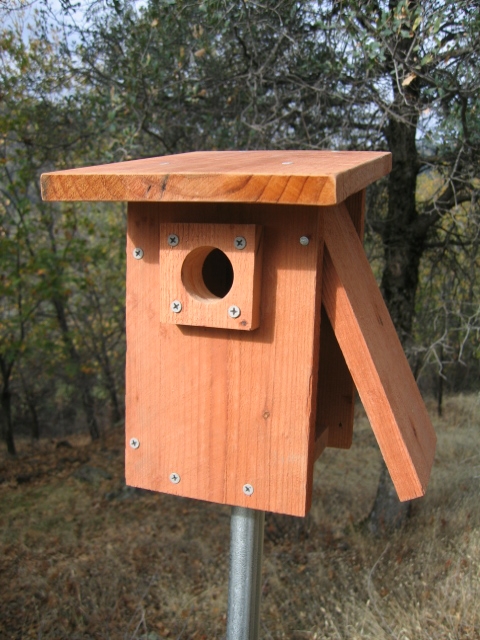 Birdhouse And Nest Box Plans For Several Bird Species The Birders Report