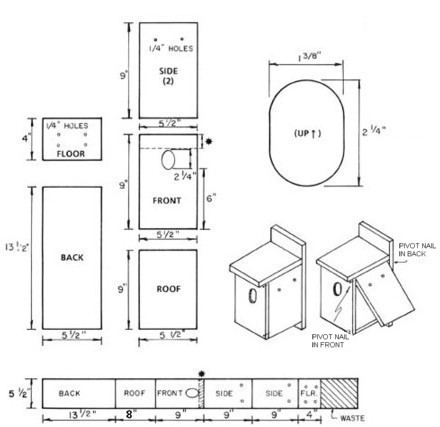 bluebird house hole size