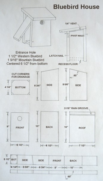 bluebird house hole size