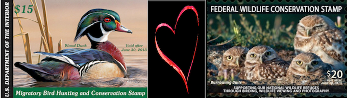 Duck & Wildlife Conservation Stamp