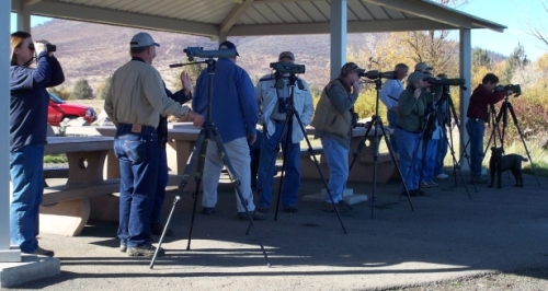 bird watchers, birders, watching birds