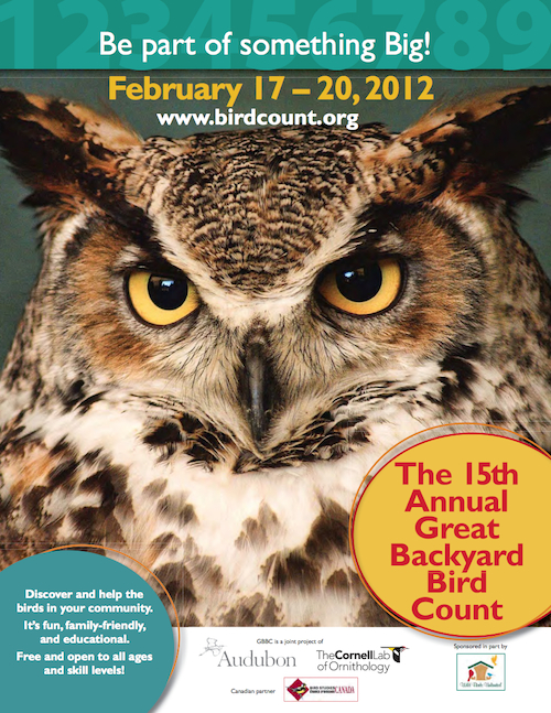 The 15th Annual Great Backyard Bird Count Begins Friday ...