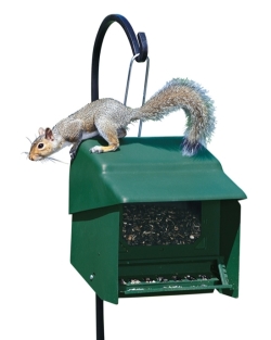 Super Stop-A-Squirrel