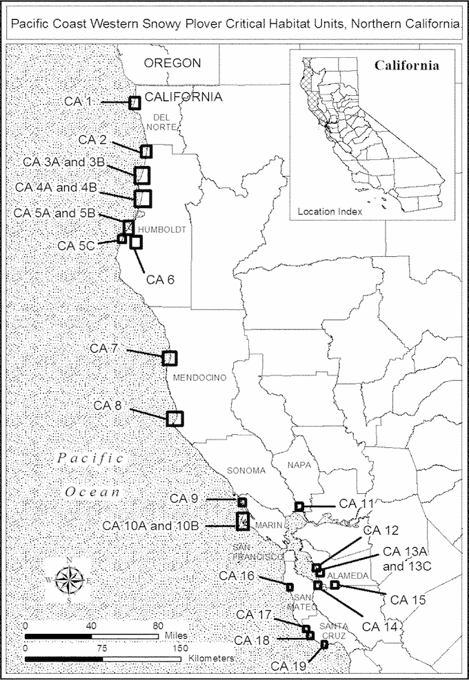 Pacific Swestern Snowy Plover Habitat Map