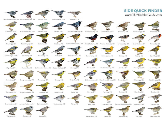 Warbler Guide Side Quick Finder