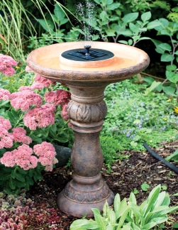 Solar Powered Fountain