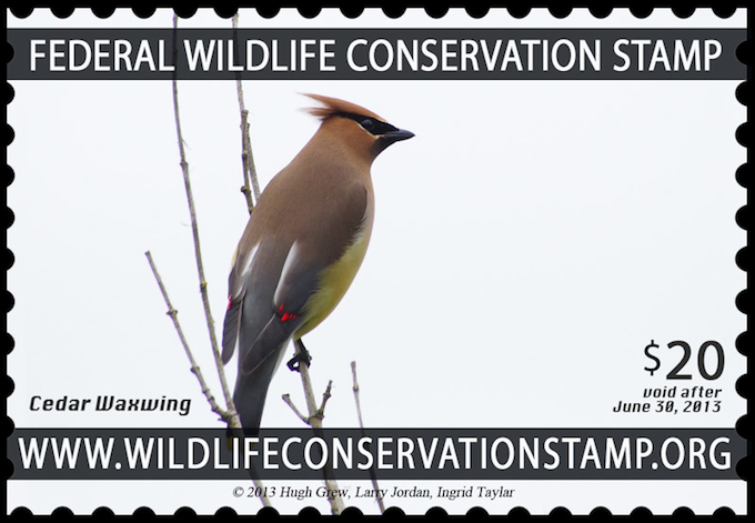 Wildlife Conservation Stamp