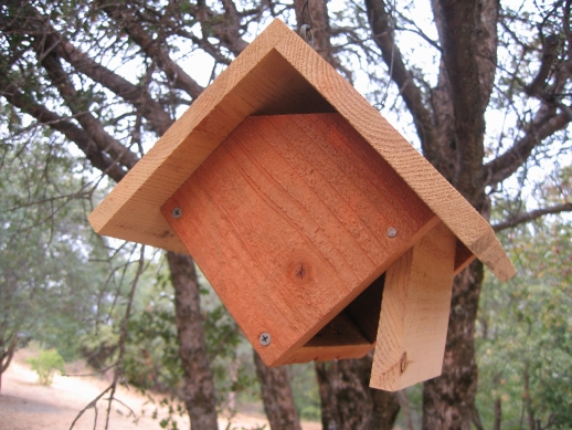 Birdhouse and Nest Box Plans for Several Bird Species 