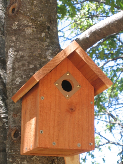 Audubon Birdhouse Plans