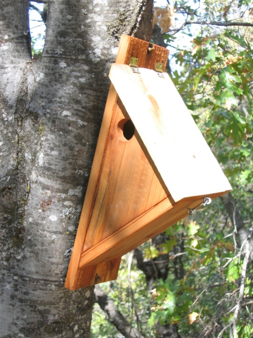 Birdhouse and Nest Box Plans for Several Bird Species 