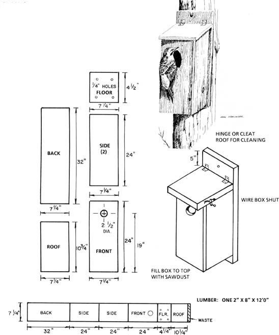 Birdhouse And Nest Box Plans For Several Bird Species The Birders Report