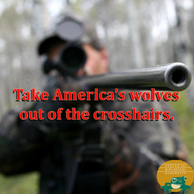 Stop Killing Wolves