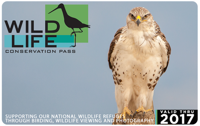 Wildlife Conservation Pass